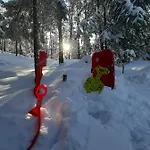 Woody شاليه Stara Susica