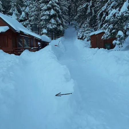 Woody Chalet