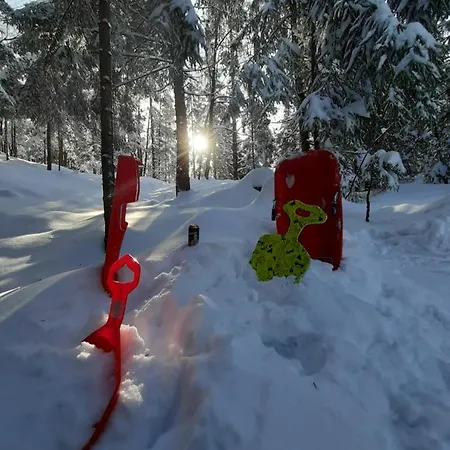 Woody Chalet Stara Susica
