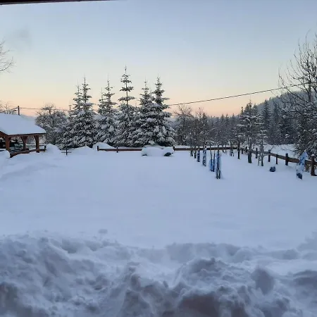 Woody Chalet