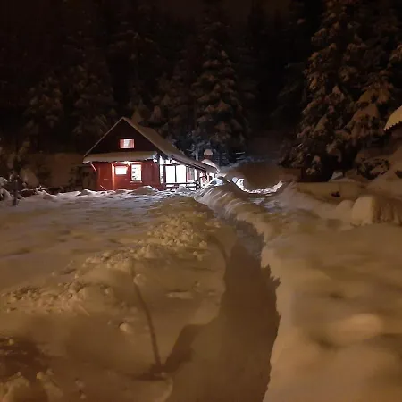 Chalet Woody *