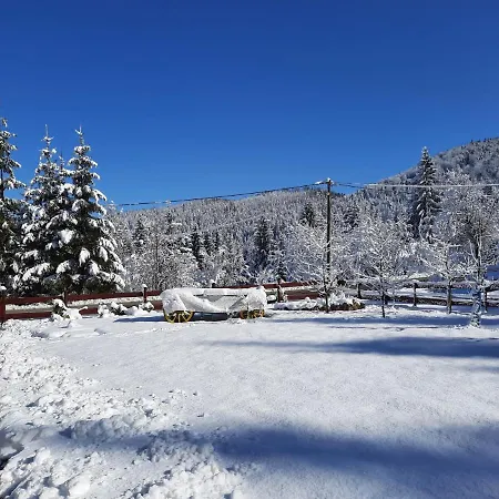 Woody * Stara Sušica