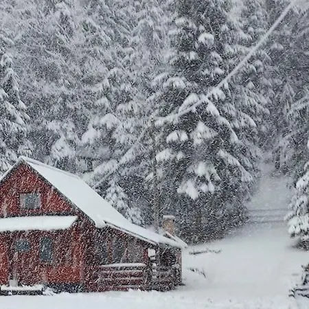 Chalet Woody *