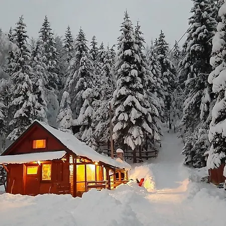 Woody Chalet Stara Susica