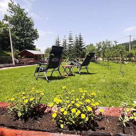 Chalet Woody Stara Susica