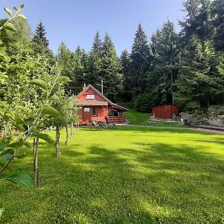 Woody Chalet *