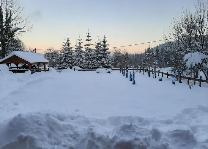 Woody Chalet