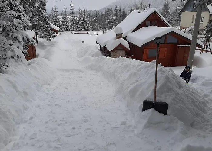 Woody Chalet *