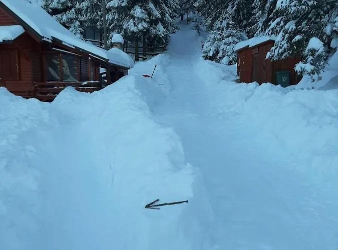 Woody Chalet