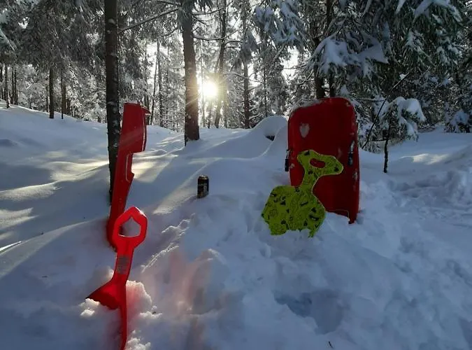 Woody Chalet Stara Susica
