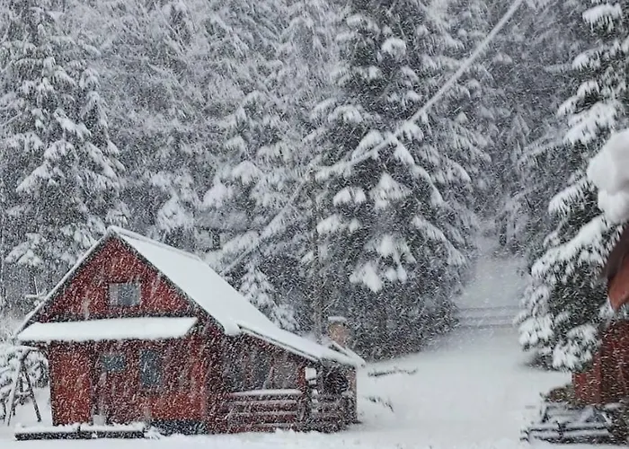 Chalet Woody *