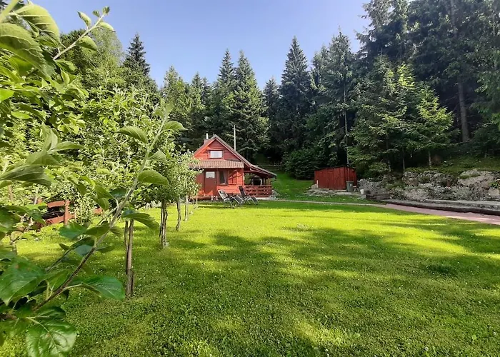 Woody Chalet *