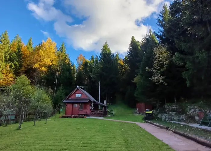 Woody Chalet